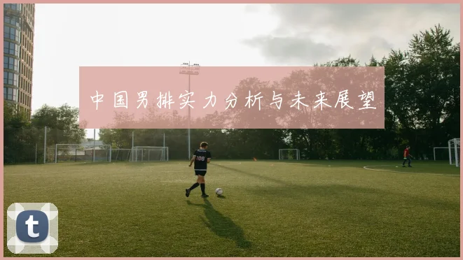 中国男排实力分析与未来展望