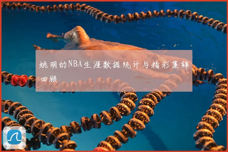 姚明的NBA生涯数据统计与精彩集锦回顾
