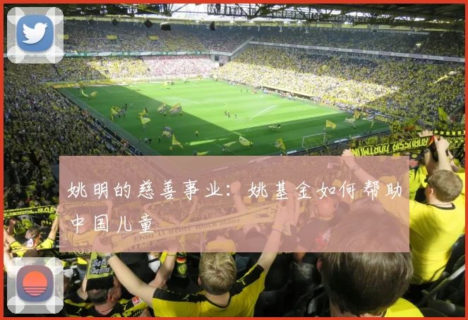 姚明的慈善事业：姚基金如何帮助中国儿童